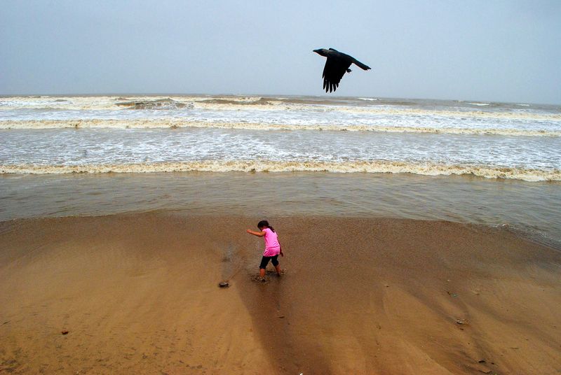 A girl in a pink top runs across wet beach sand, kicking up spray, as a crow flies overhead under an overcast sky, with waves breaking behind her