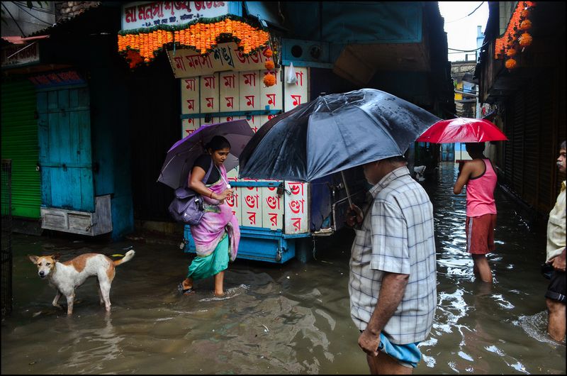 People with umbrellas and a dog wading through a flooded street past shuttered shops and a stall covered in red Bengali lettering beneath marigold garlands