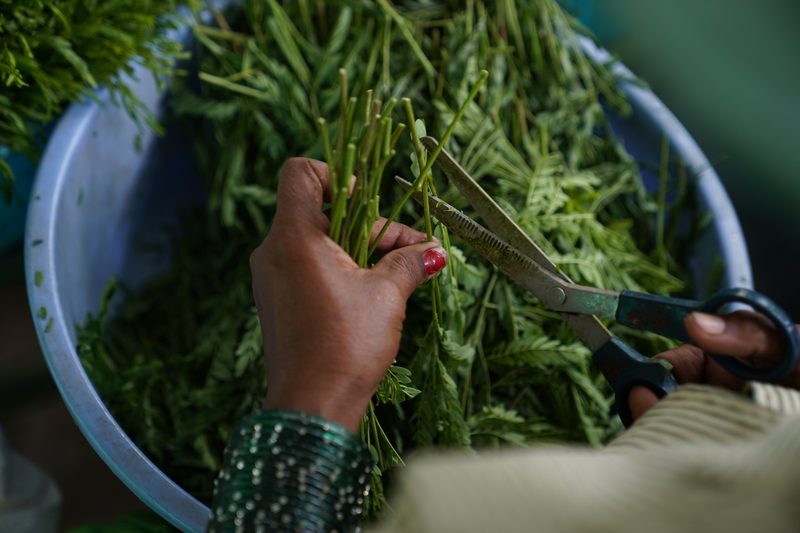 A hand with a red-painted nail and a sequinned green sleeve holds slender stems while scissors trim them over a blue tub of foliage.