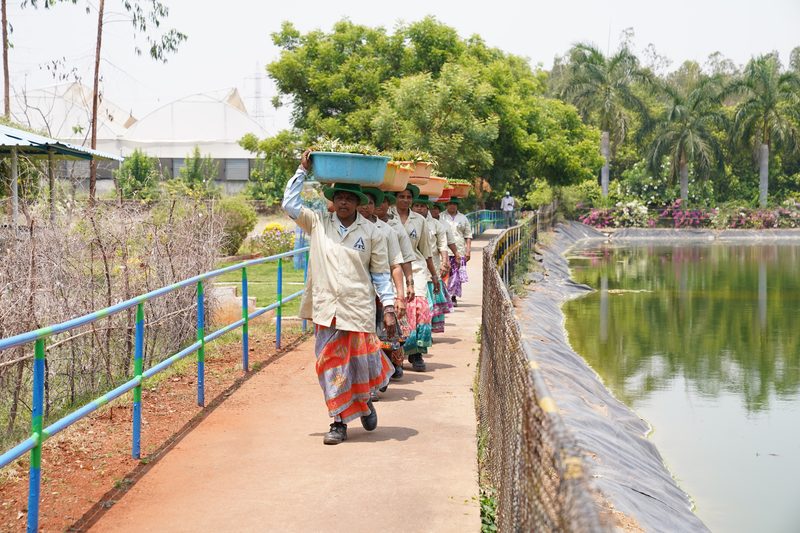 A line of people in matching caps and pale shirts walk along a paved path beside a pond, carrying tubs of green plants on their heads.
