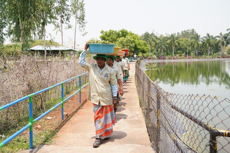 A woman in a green hat balances a tub of seedlings on her head, leading a line of people along a fenced path beside a pond.