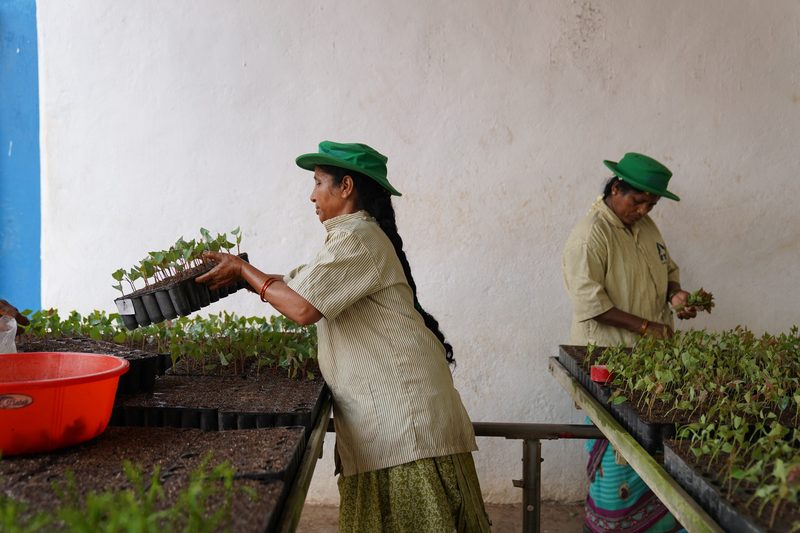 A woman in a green hat carries a black tray of seedlings while another sorts plants at a bench against a white wall.